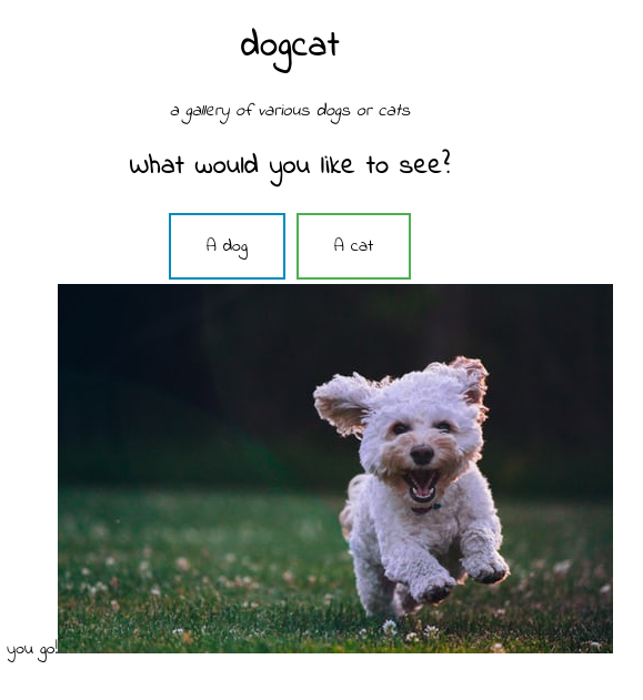 TryHackMe - Dogcat Writeup 6 image 5 Cyberdesu